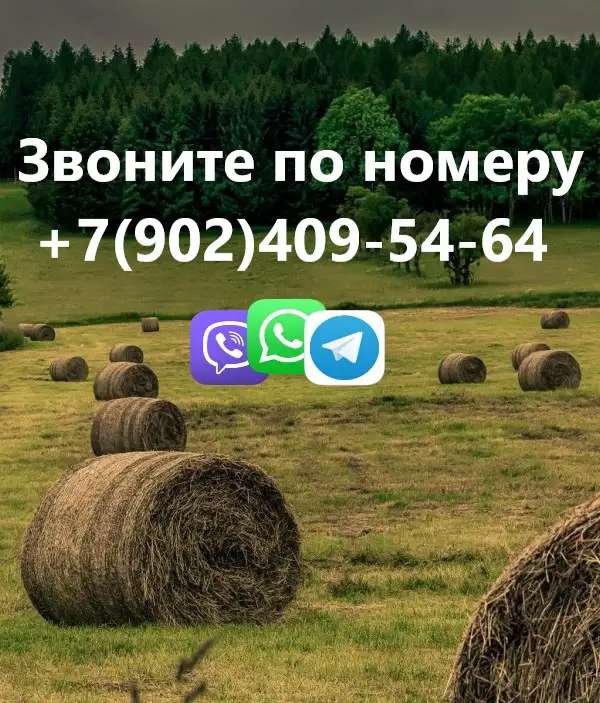 Сдам 1-этажный дом 70 м на участке 8 сот.