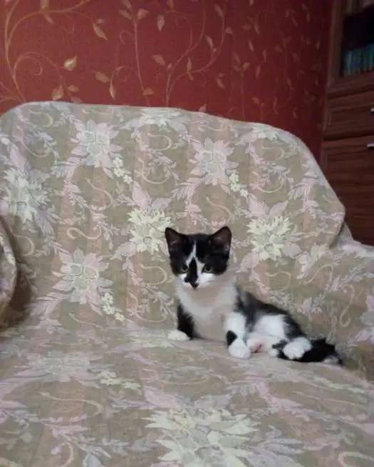 Малыш