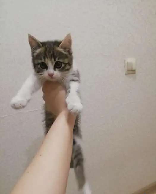 Маленькая мисс счастья