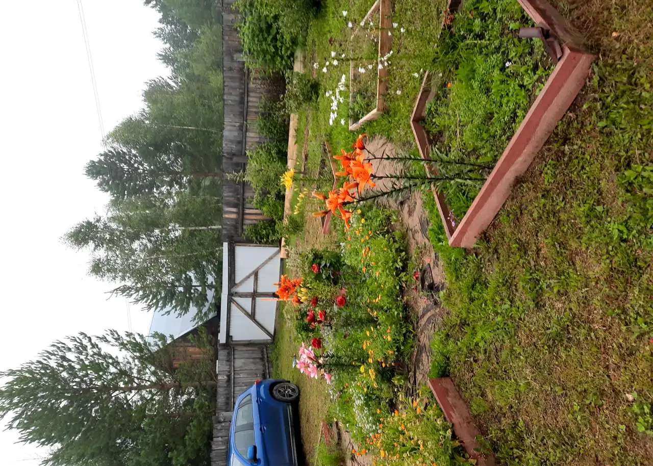 Продам, СНТ