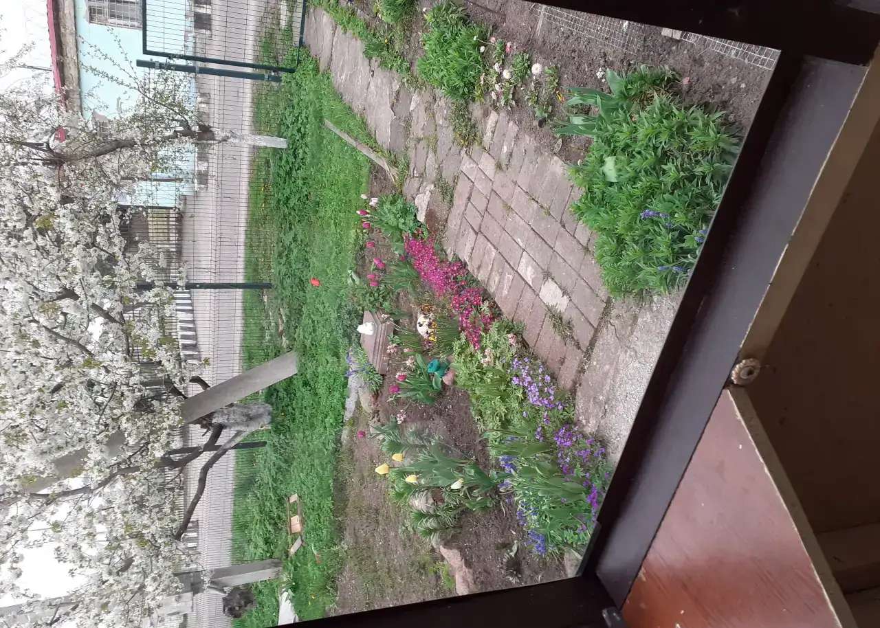 Сдать квартиру, Ул. Заставы, д. 21