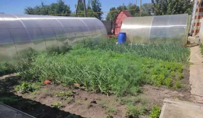Продаю дом