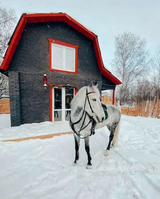 Аренда дома в Нижнем Новгороде, пл. Советская