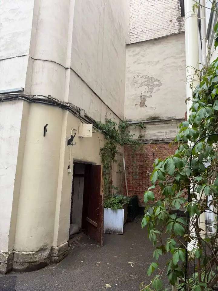Продажа офиса 17 м2, Санкт-петербург, 8-я в.о. линия, 15 литера а