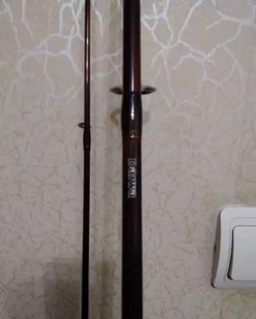 спининг