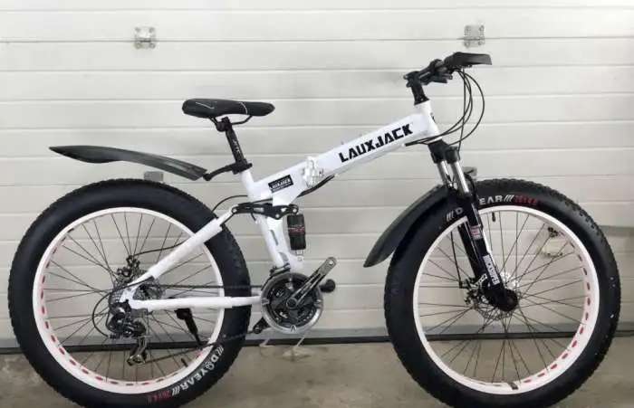 Fat bike