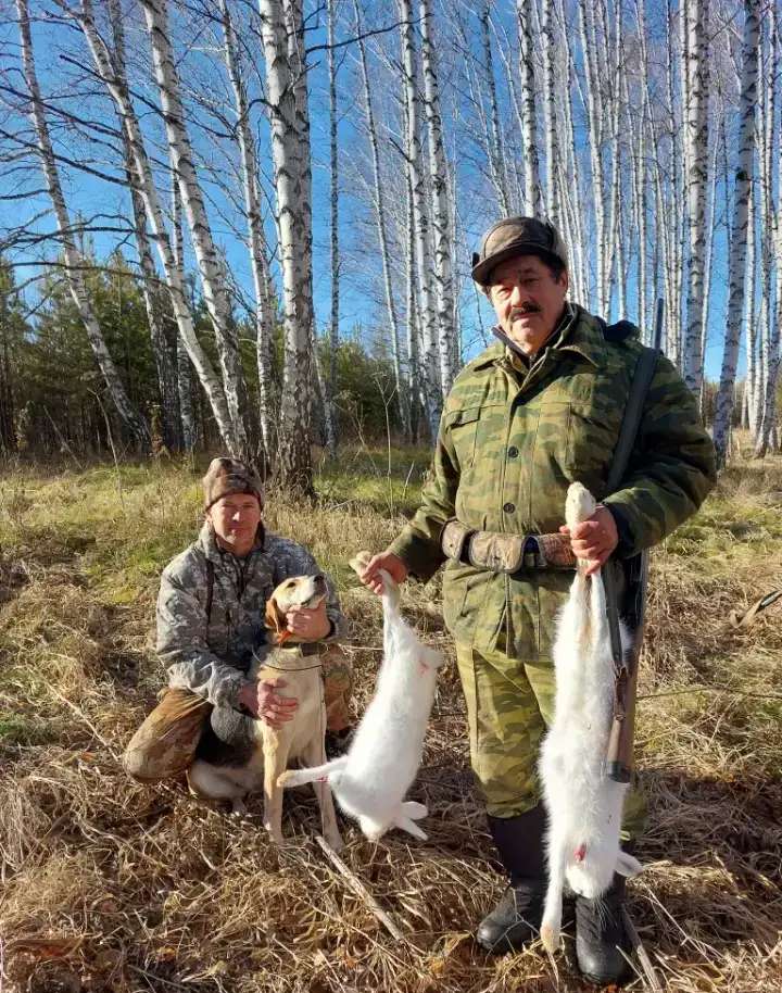 Щенки Русской гончей