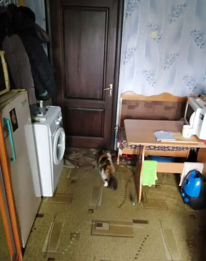 Продам комнату в общежитии: Красноярск ул. Львовская 50, 4/5 панельный дом, 12 кв.м. Состояние комнаты жилое,