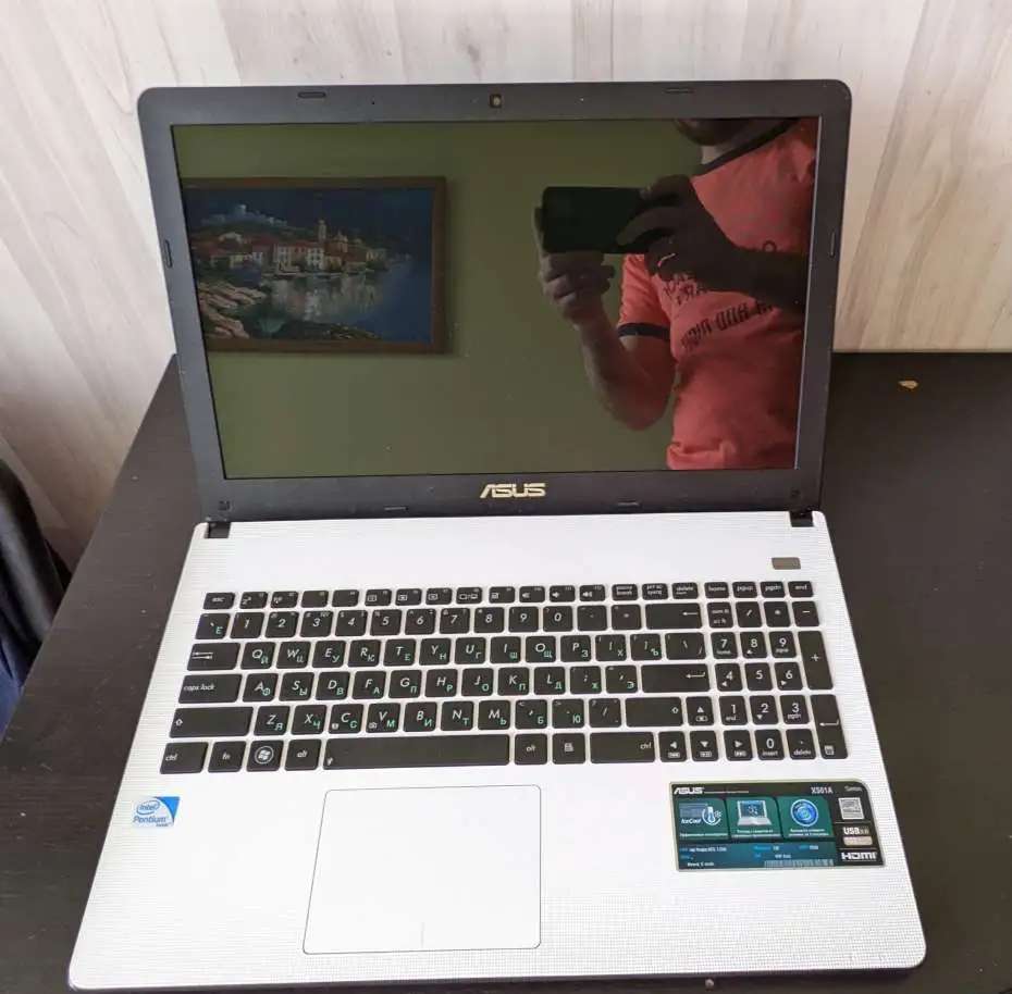 Asus X501A, новая батарея.