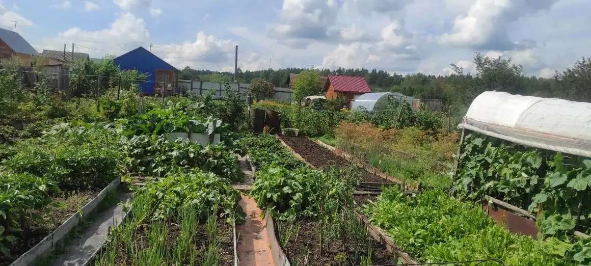 заявление, край, Емельяновский р-н, п.Кедровый СНТ Кедр 225,00 м2