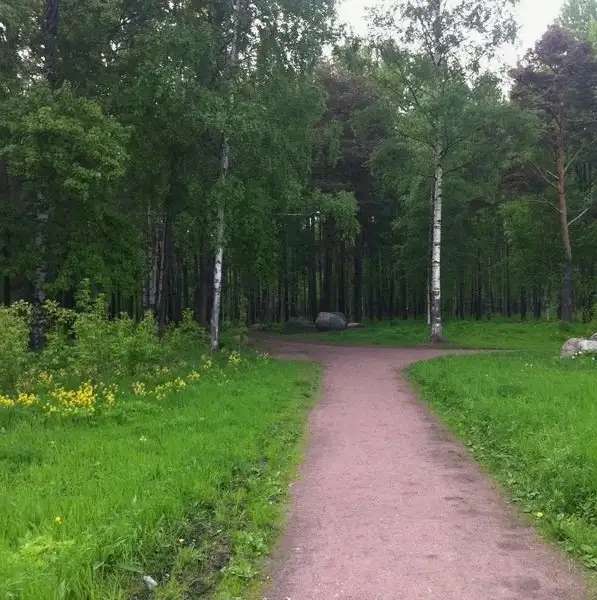 Сдам комнату метро Комендантский проспект