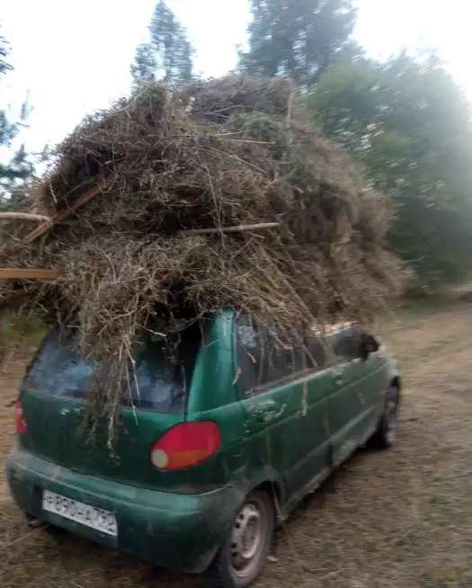 Водитель Daewoo Matiz