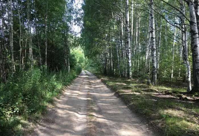 Продается дача на окраине деревни. Торг. 79,00 м2