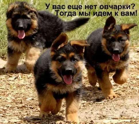 Я родился
