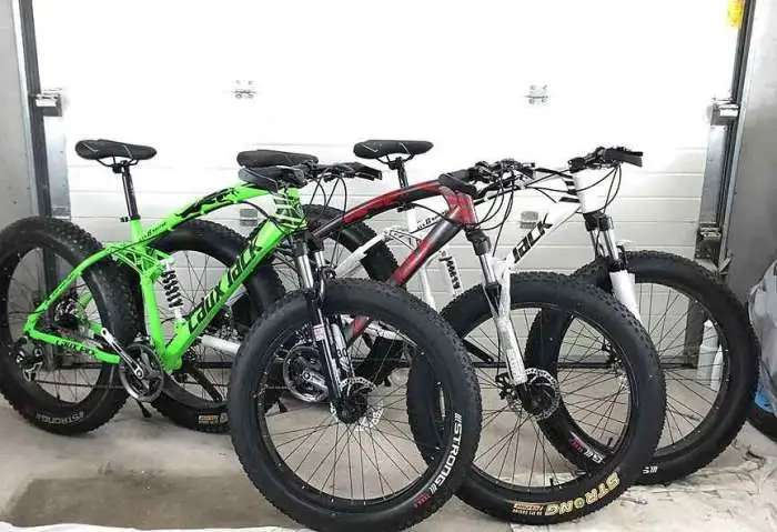 Fat bike
