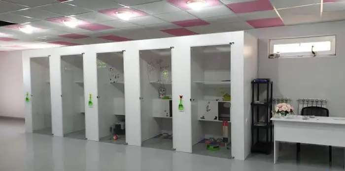 Гостиница для кошек CAT CITY