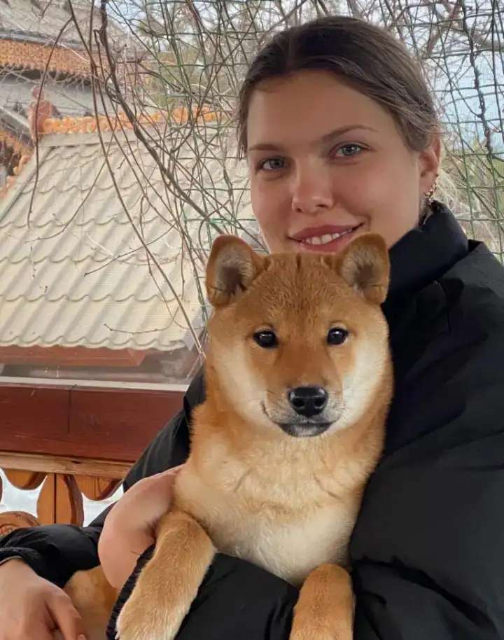 Сиба ину малышка девочка