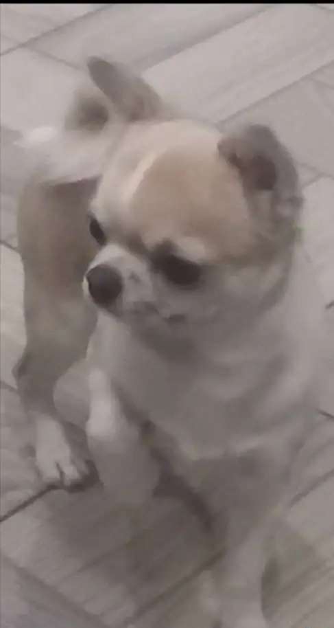 Вязка