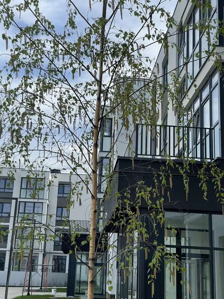 Квартира, 67,30 м², 3 эт., Ключевая улица, 27в