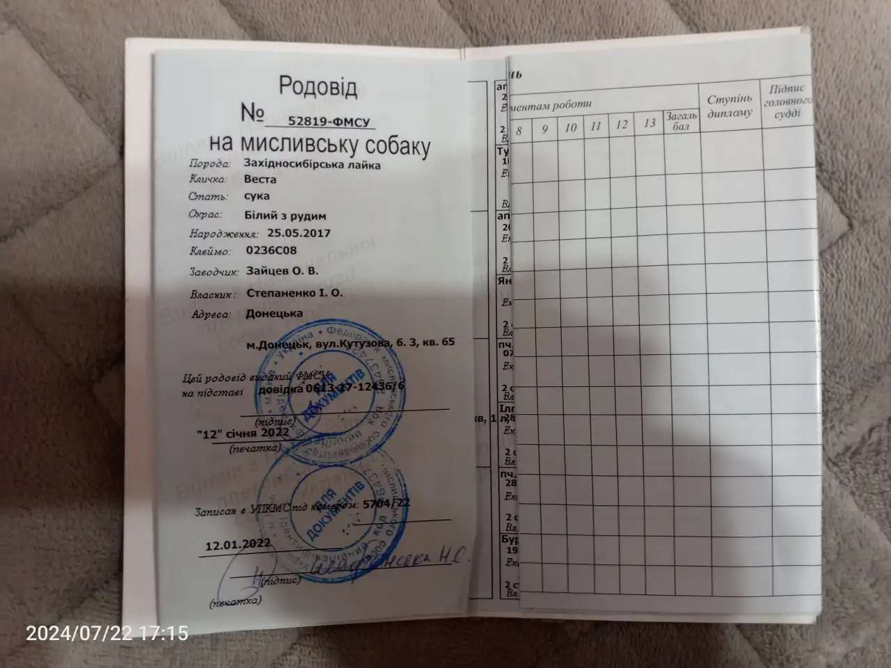 Щенки ЗСЛ