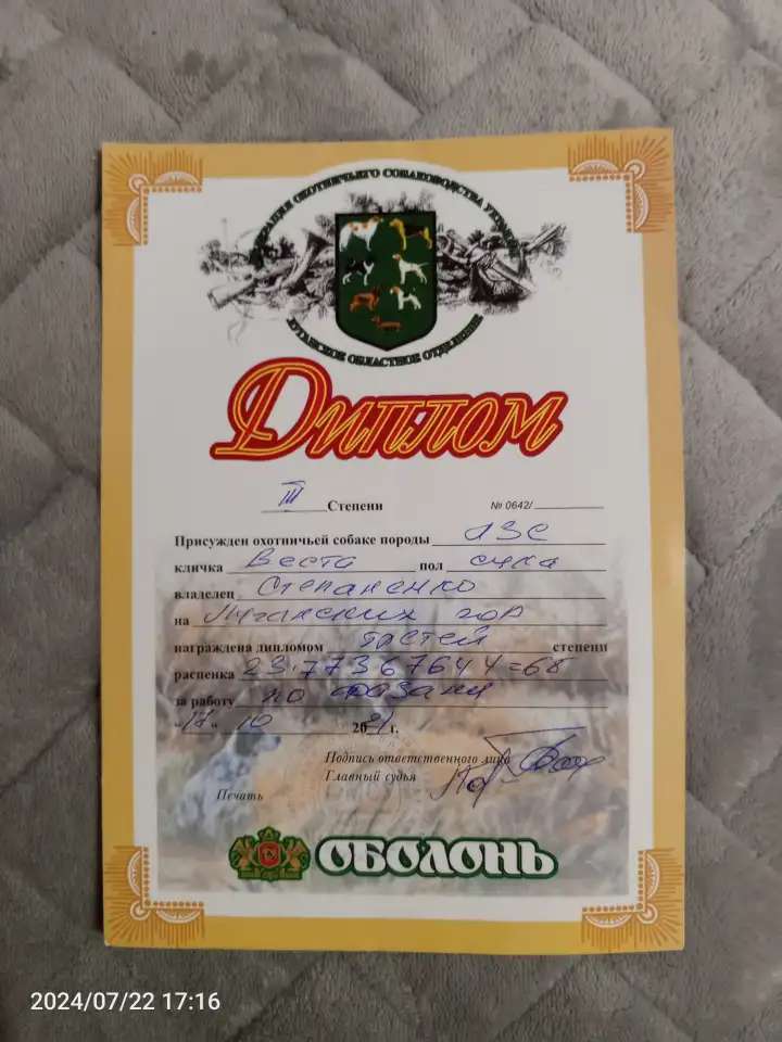 Щенки ЗСЛ