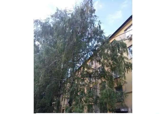 Комната 16 м² в 4-к, 3/4 эт.