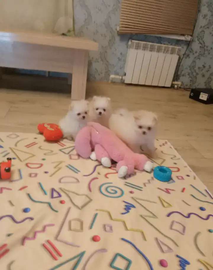 Подарочки