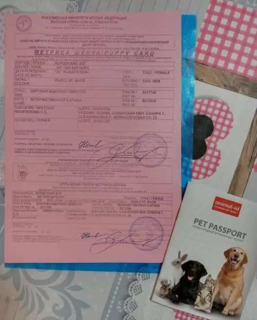 Продам собаку