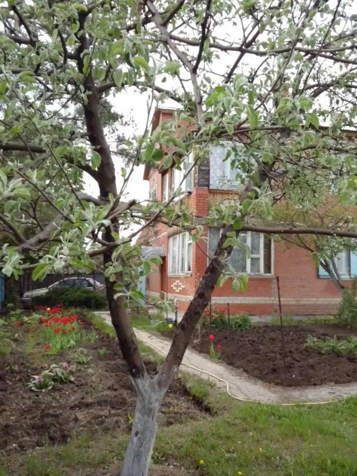 Продаю дом в Кинельском районе, Самарская обл., Кинельский р-н, сельское поселение Богдановка, СДТ Газовик, Цент 143,00 м2