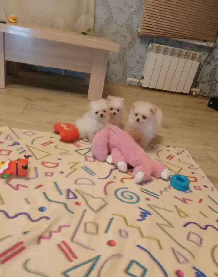 Подарочки