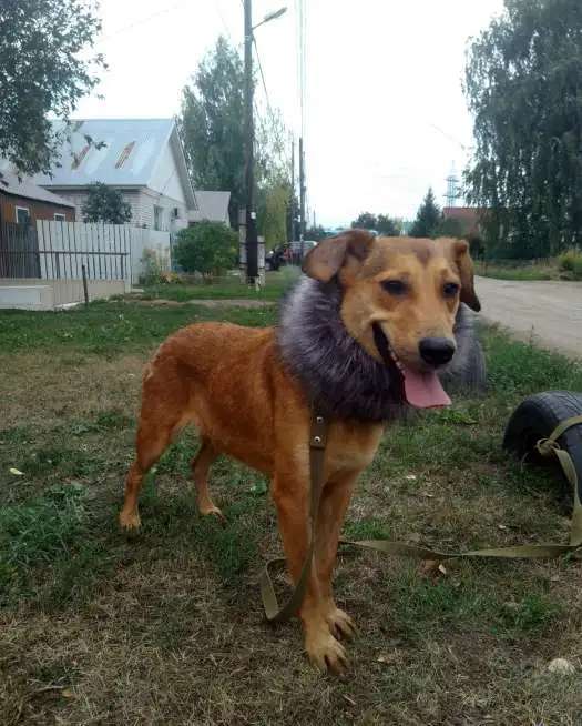 Красотка эльза