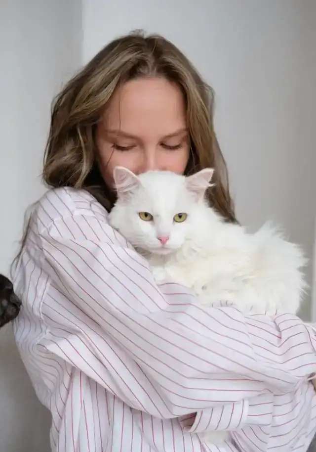 Кот Компот ищет дом