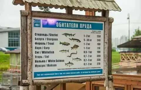 Усилитель платной рыбалки