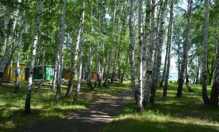 Продам готовый бизнес, Челябинская область, Кунашарский район,озеро Калды 15 768,00 м2