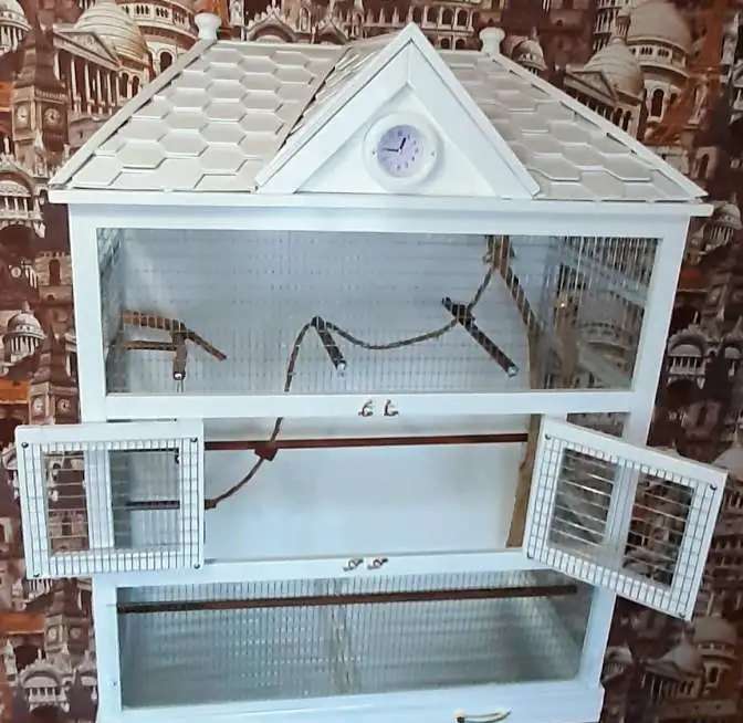 Клетка