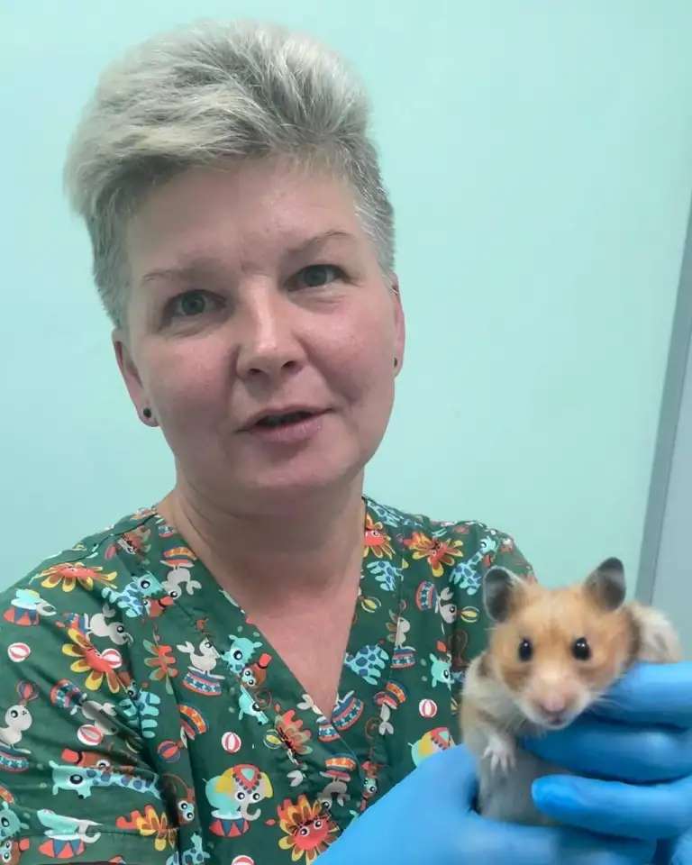 Лечение грызунов в Ясенево.